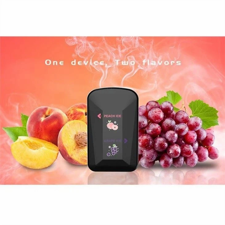 Dual 2100 Puffs Disposable Vape factory