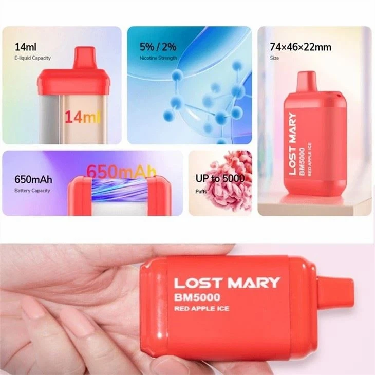 Lost Mary BM5000 Disposable Vape factory